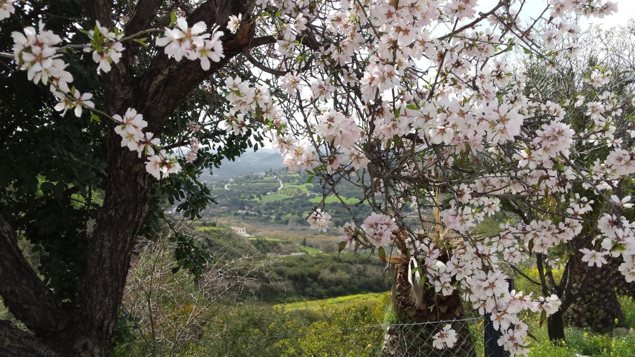 Goudhi Pervolaris Cottages 2 מראה חיצוני תמונה